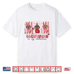 Dachshund Is My Valentine Dachshund Funny Dog Lover Shirt