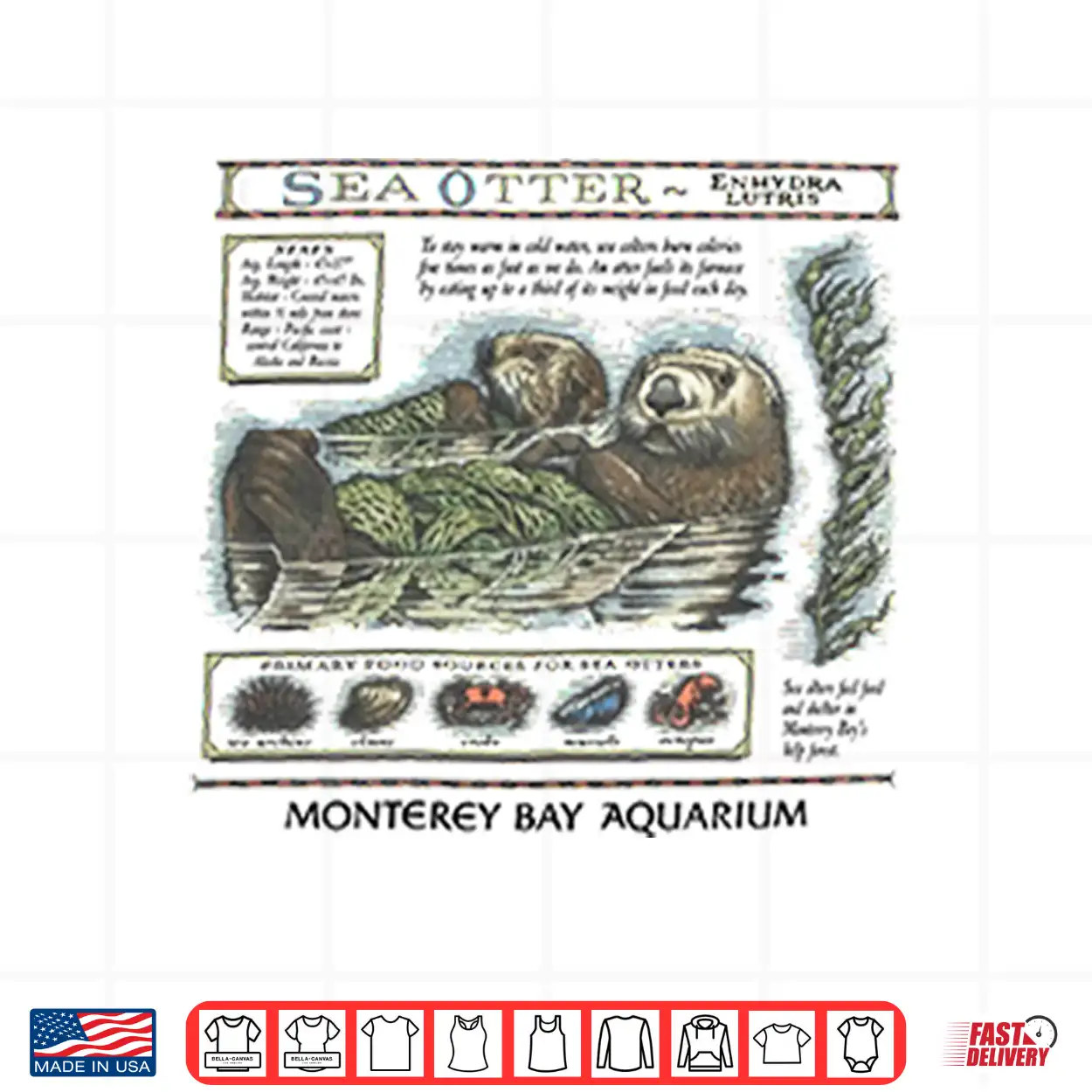 Taylor Swift Sea Otter Monterey Bay Aquarium Shirt Taylor Swift Sea Otter Monterey Bay Aquarium Shirt
