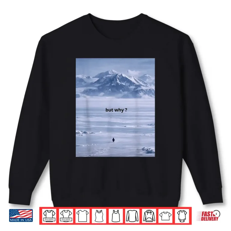 Sweatshirt Penguin But Why Meme Head Towards The Mountains Motivational Shirt