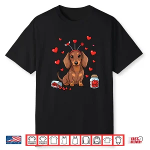 Cute Dachshund Valentine’S Day Heart Love Dog Mom Dog Dad Long Sleeve Shirt