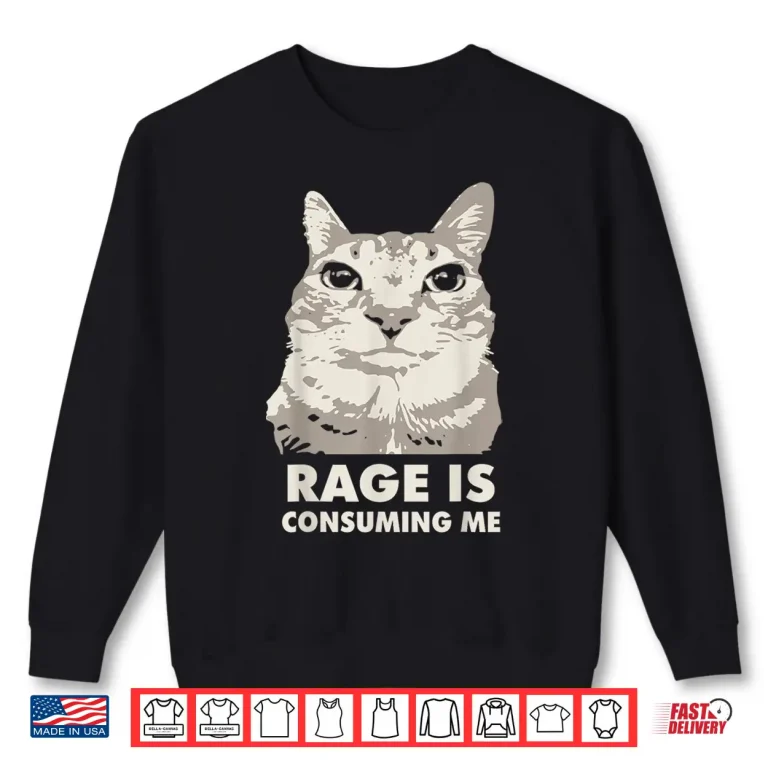 Sweatshirt Rage Is Consuming Me Angry Cat Meme Sarcasm Funny Shirt