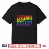 Homo Estas  Funny Gay Pride Month Lgbtq Rainbow Flag Shirt