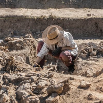 Archaeologist