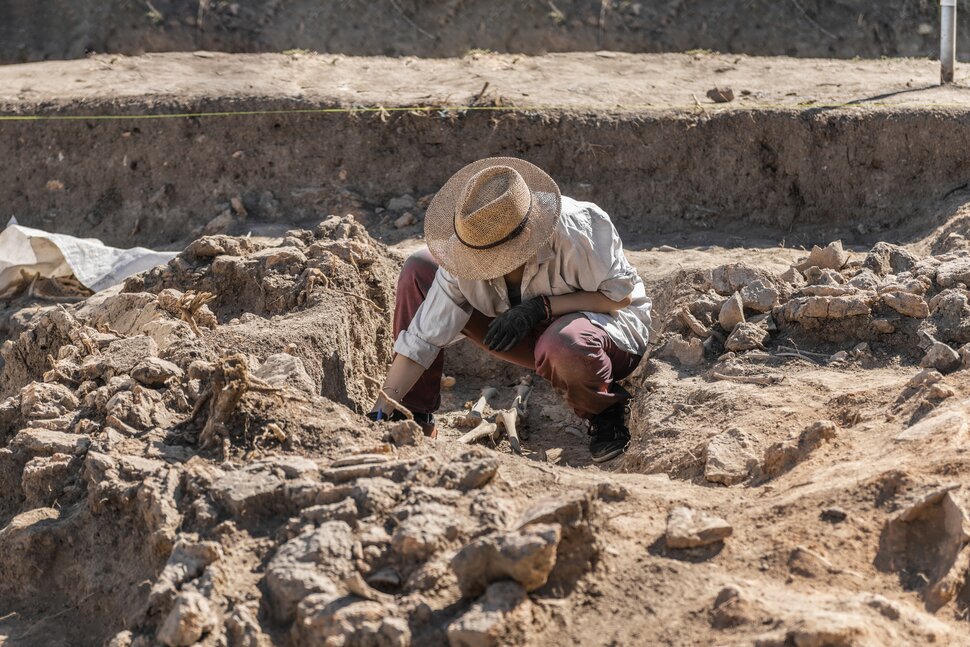 Archaeologist