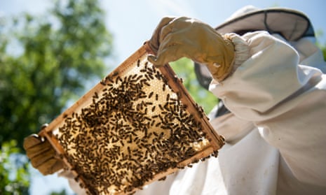 Beekeeper