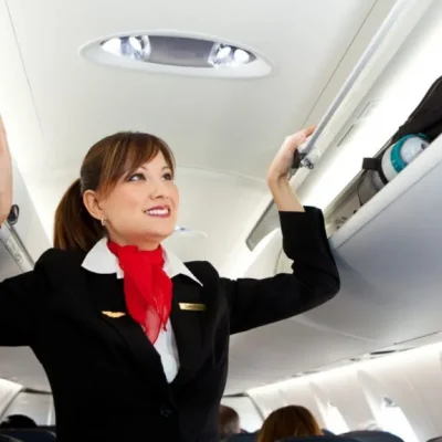 Flight Attendant