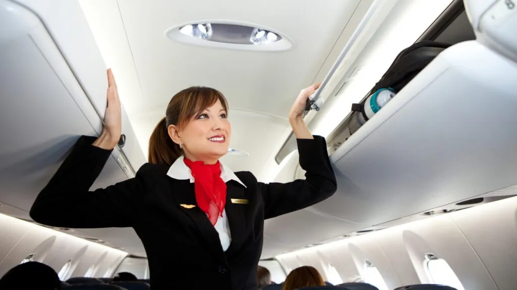 Flight Attendant