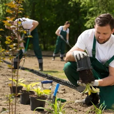 Gardener