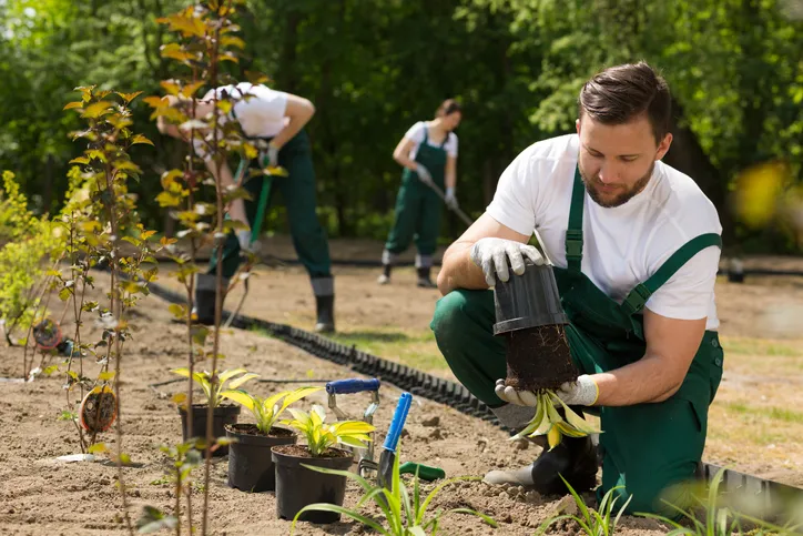 Gardener