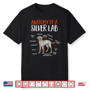 Silver Labrador Retriever Anatomy Of A Silver Lab Shirt