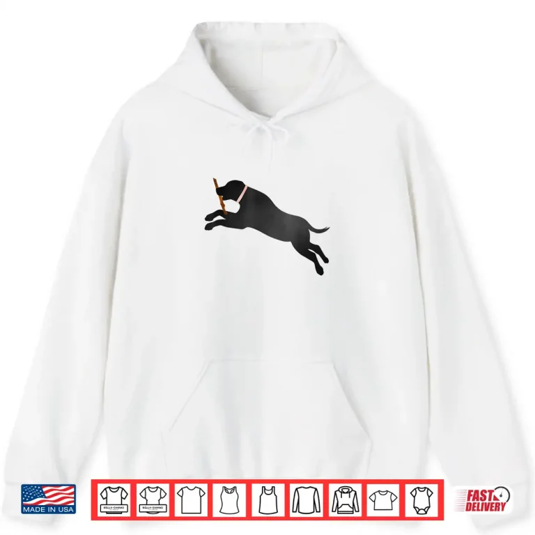 Hoodie Labrador Retriever Fetch Play Ball Black Lab Dog Lover Gift Shirt