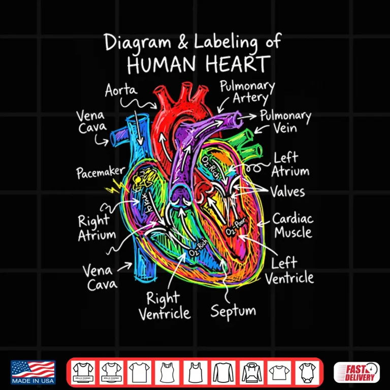 Design Diagram Labeling of Human Heart Anatomy Biology Science Shirt