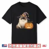 Ragdoll Cat Mom Halloween Witch With Pumpkin Cute Fall Shirt