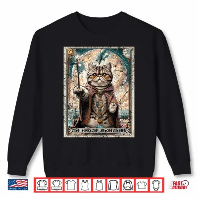 Sweatshirt Tarot Card Exotic Shorthair Cat Shirt
