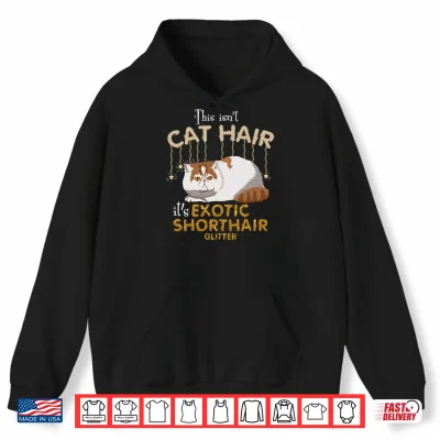 Hoodie This Isnt Cat Hair Its Exotic Shorthair Cat Glit Shirt