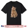 Cute British Shorthair Cat For Lover Cats Kitty Kitten Shirt