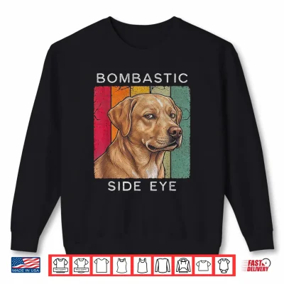 Sweatshirt Bombastic Side Eye Labrador Dog Retro Vintage Look Shirt