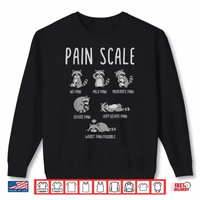 Sweatshirt Fun Raccoon Pain Scale Nurse Medical Healthcare Worker Humor Shirt