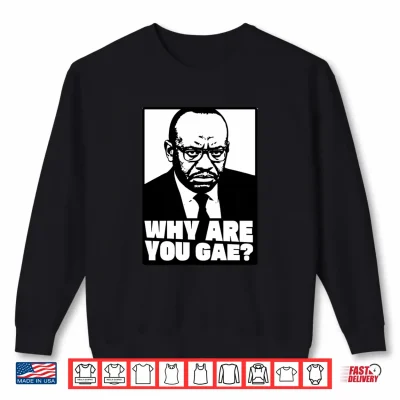 Sweatshirt Why are You Gay Meme Shirt