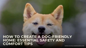 How to Create a Dog Friendly Home Essential Safety and Comfort Tips 1