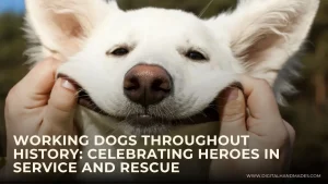 Working Dogs Throughout History Celebrating Heroes in Service and Rescue 1