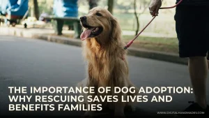 The Importance of Dog Adoption Why Rescuing Saves Lives and Benefits Families 1
