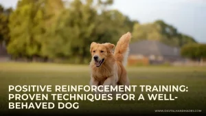 Positive Reinforcement Training Proven Techniques for a Well Behaved Dog 2