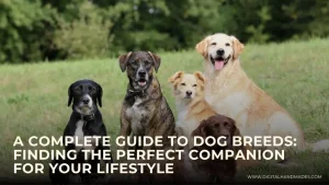 A Complete Guide to Dog Breeds Finding the Perfect Companion for Your Lifestyle 1