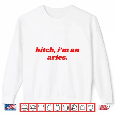 Sweatshirt Bitch Im An Aries Funny Horoscope Slogan Attitude Statement Shirt
