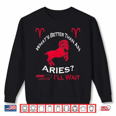 Sweatshirt Retro Team Aries Girl Aries Man Horoscope Birthday Gift Shirt 1