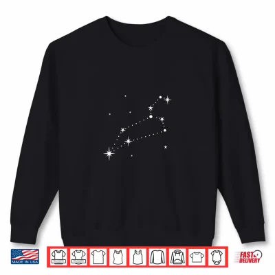 Sweatshirt Leo Constellation Zodiac Sign Zodiac Sign Shirt