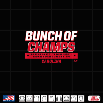Design Bunch of Champs Carolina Hockey Shirt