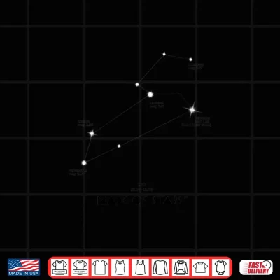 Design Womens Leo Horoscope Zodiac Sign Constellation Astrology Shirt