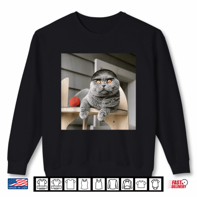 Sweatshirt Origin Funny Kitten Face Internet Joke Shirt