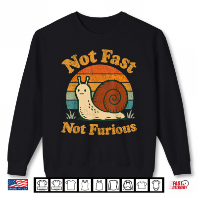 Sweatshirt Not Fast Not Furious Funny Snail Pace Funny Retro Sunset Shirt