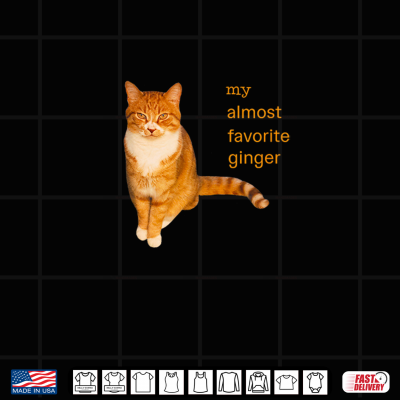 Design My Almost Favorite Ginger Orange Tabby Cat Shirt 2