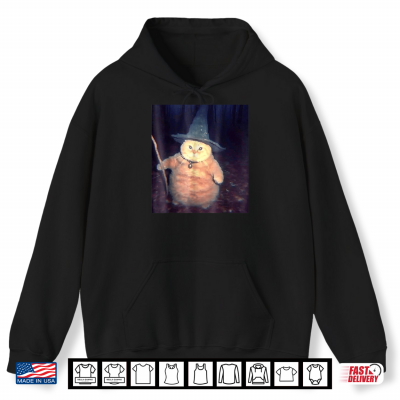 Wizard Cat Meme Shirt Funny Halloween Shirt 1 Hoodie Wizard Cat Meme Shirt Funny Halloween Shirt