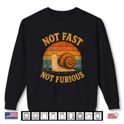 Not Fast Not Furious Funny Snail Pace Retro Sunset Shirt 2 Sweatshirt Not Fast Not Furious Funny Snail Pace Retro Sunset Shirt