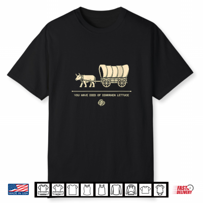 You Have Died Of Diarrhea Lettuce Retro 8 Bit Gaming Shirt