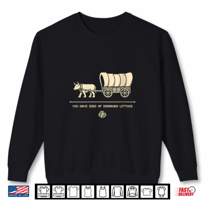 Sweatshirt You Have Died Of Diarrhea Lettuce Retro 8 Bit Gaming Shirt